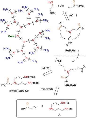 Submonomer Synthesis of Inverse Polyamidoamine (i-PAMAM) Dendrimer Antibacterials