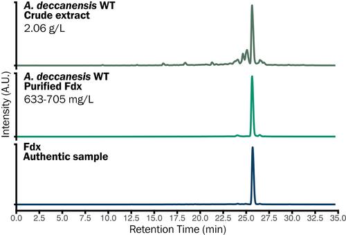 Isolation of Fidaxomicin and Shunt Metabolites from Actinoplanes deccanensis