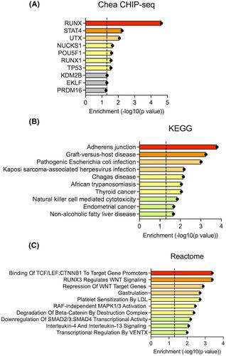 New insights into ILC2 memory