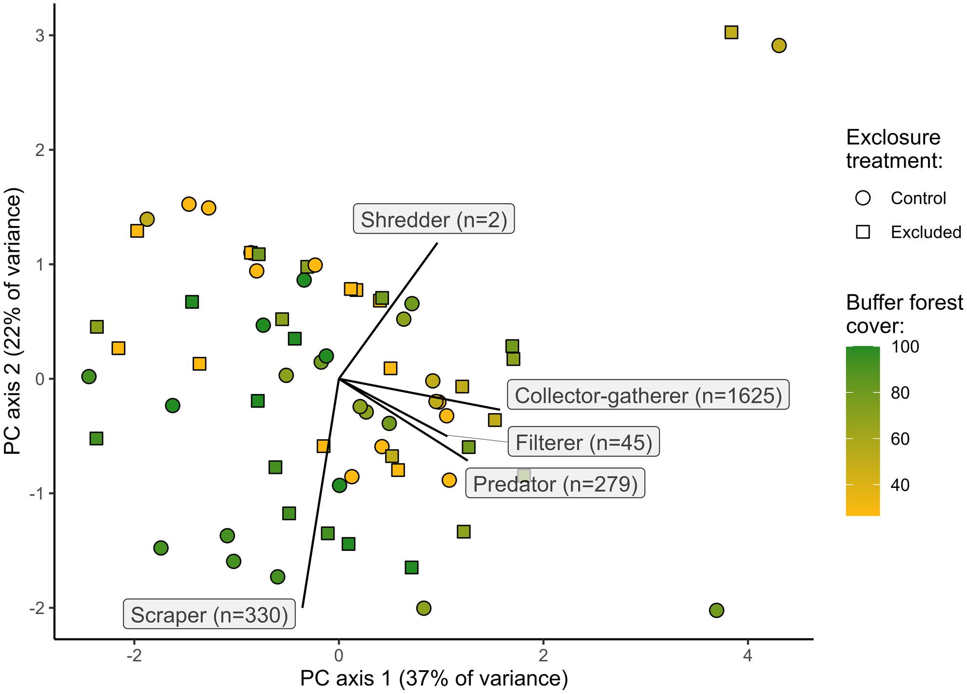 No effects of macroconsumer exclusion on macroinvertebrate functional composition in Brazilian karst streams along a gradient of riparian forest loss