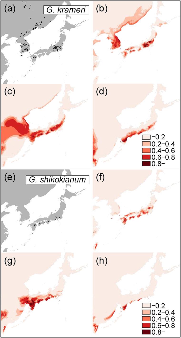 Phylogeographic incongruence between two related Geranium species with divergent habitat preferences in East Asia