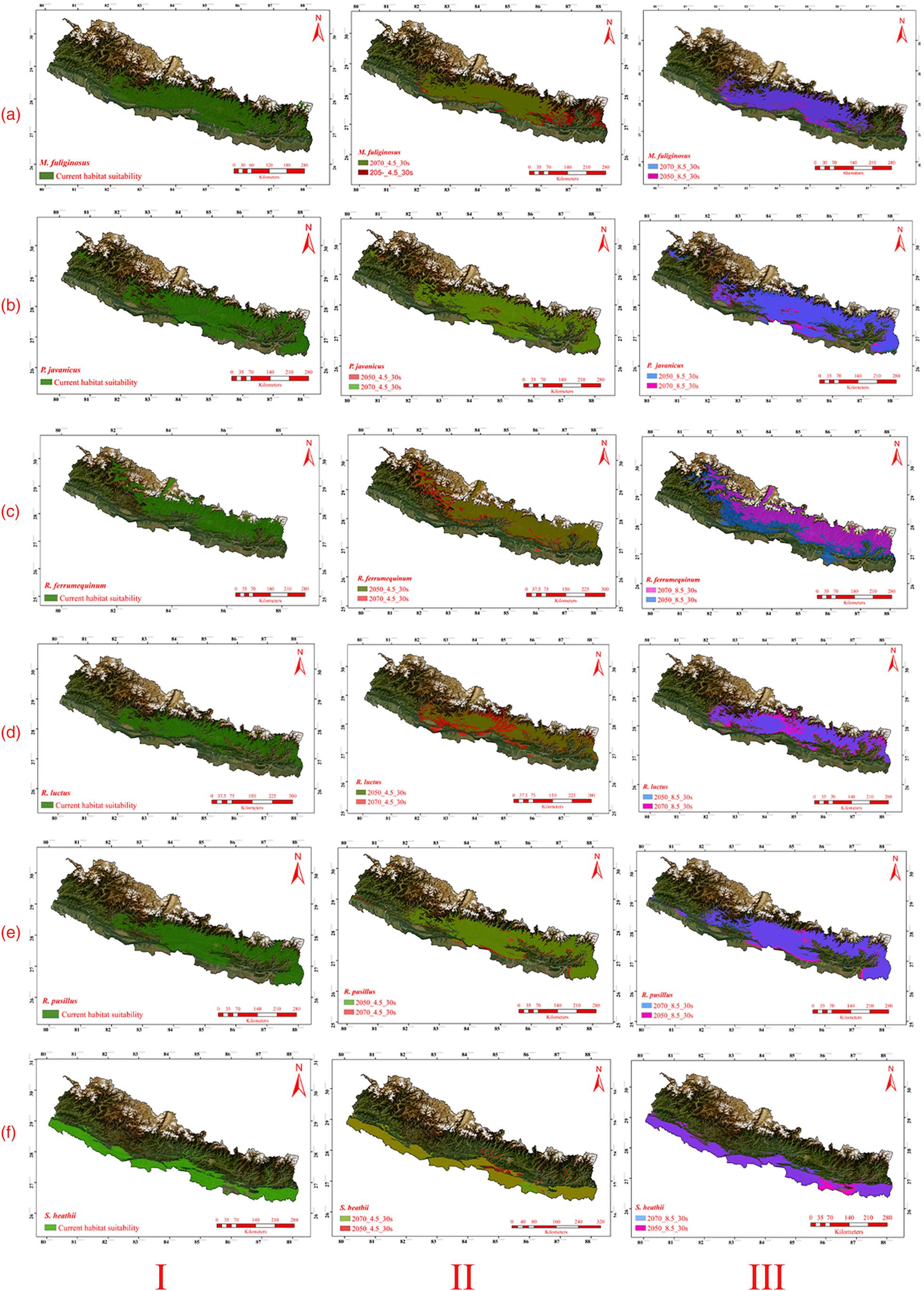 Responses of insectivorous bats to climate change in Nepal