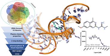 Structure-based virtual screening of unbiased and RNA-focused libraries to identify new ligands for the HCV IRES model system†