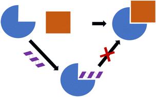 Helical sulfonyl-γ-AApeptides for the inhibition of HIV-1 fusion and HIF-1α signaling