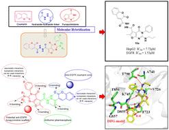 Coumarin–furo[2,3-d]pyrimidone hybrid molecules targeting human liver cancer cells: synthesis, anticancer effect, EGFR inhibition and molecular docking studies†