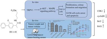 Anti-cancer activity and mechanism of flurbiprofen organoselenium compound RY-1-92 in non-small cell lung cancer†