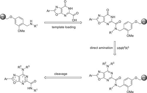 Solid-phase synthetic method for N-alkyl-7-alkylamino-2-aryloxazolo[5,4-d]pyrimidine-5-carboxamide derivatives