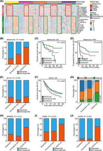 Conserved immuno-collagenic subtypes predict response to immune checkpoint blockade