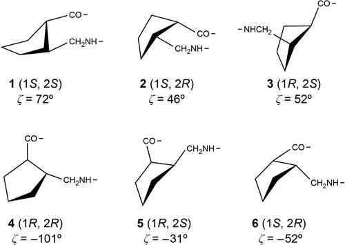 Exploring helix structures of γ-peptides based on 2-(aminomethyl)cyclopentanecarboxylic acid