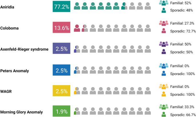 A bird’s eye view on the use of whole exome sequencing in rare congenital ophthalmic diseases