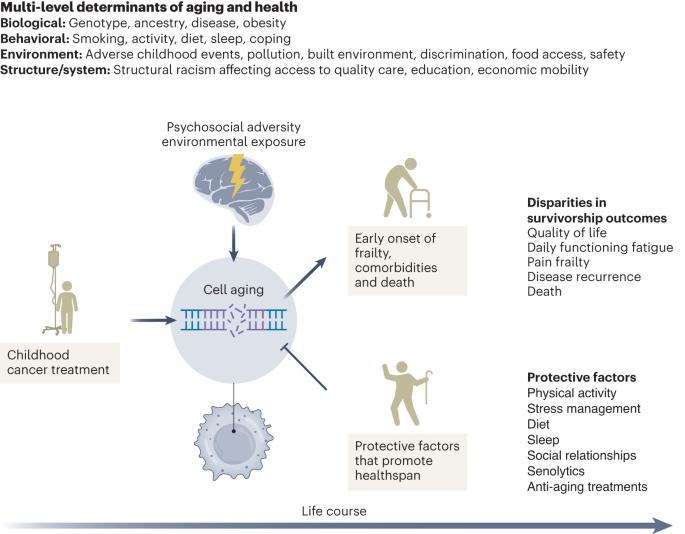 Disparities, aging and childhood cancer