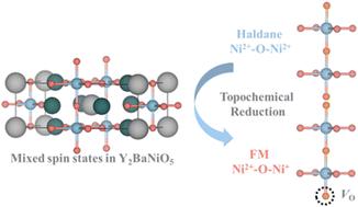 Spin-degree manipulation for one-dimensional room-temperature ferromagnetism in a haldane system†