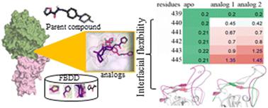 Effect of computationally designed fragment-based analogs on the RBD–ACE2 complex of the SARS-CoV-2 P.1 variant†