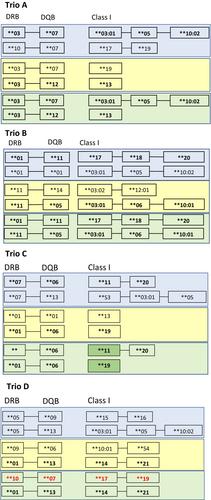 A pan-cetacean MHC amplicon sequencing panel developed and evaluated in combination with genome assemblies