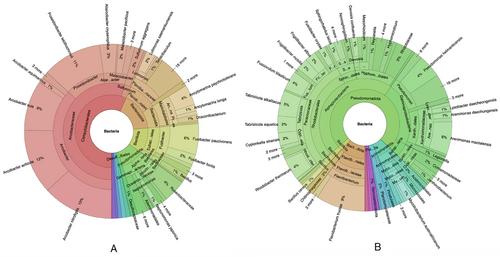 Evaluation of prokaryotic and eukaryotic microbial communities on microplastic-associated biofilms in marine and freshwater environments