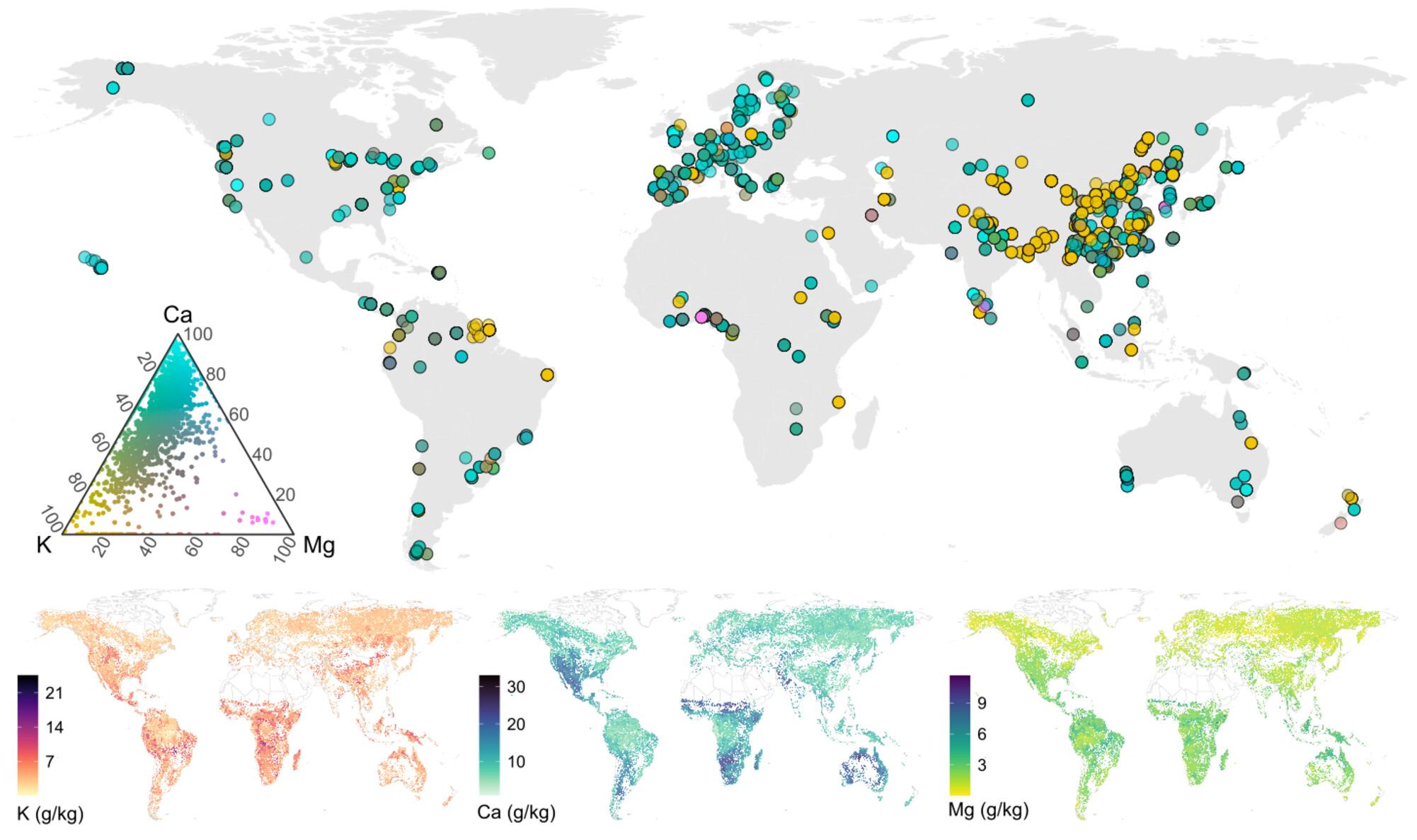 Climate and soil properties regulate the initial concentrations of potassium, calcium and magnesium in plant litter on a global scale