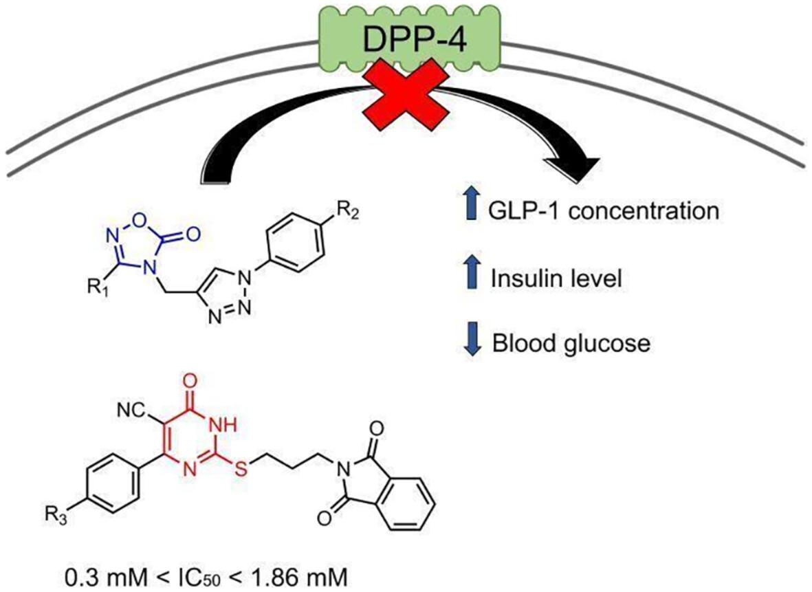 Discovery of novel heterocyclic derivatives containing oxadiazolone or pyrimidinone cores as DPP-4 inhibitors