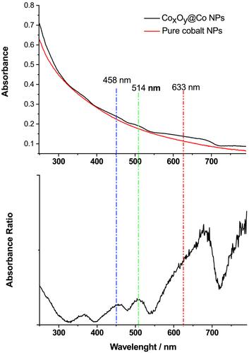 Multiscale identification of the inorganic shell of core (Co)/shell-assembled nanoparticles