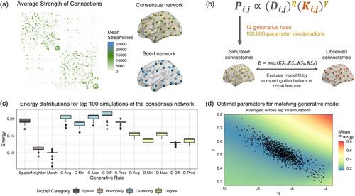 Global topology of human connectome is insensitive to early life environments – A prospective longitudinal study of the general population