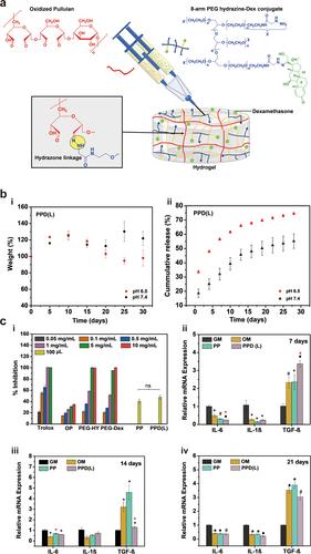 Hydrogels for ameliorating osteoarthritis: Mechanical modulation, anti-inflammation, and regeneration