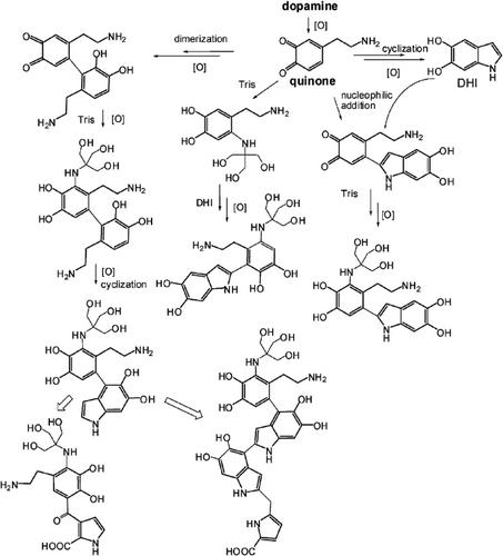 Polydopamine as a Materials Platform to Promote Strong and Durable Interfaces in Thermoplastic Polymer-Titanium Joints