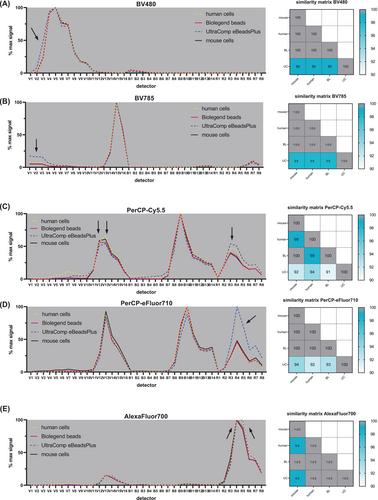 Fluorochrome-dependent specific changes in spectral profiles using different compensation beads or primary cells in full spectrum cytometry