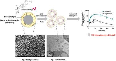 Preparation and evaluation of proliposomes formulation for enhancing the oral bioavailability of ginsenosides