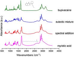 Thermodynamic and spectroscopic evaluation of the eutectic mixture of myristic acid and the local anaesthetics, bupivacaine and ropivacaine