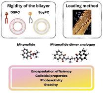 Insight into the liposomal encapsulation of mono and bis-naphthalimides†