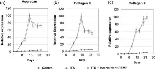 Investigation of the effectiveness of intermittent electromagnetic field stimulation for early internal cartilaginous ossification in prechondrocytic ATDC5 cells