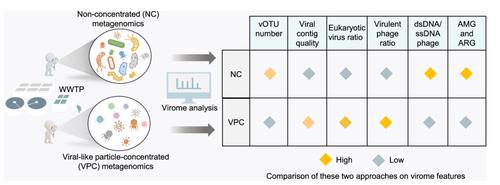 A panoramic view of the virosphere in three wastewater treatment plants by integrating viral-like particle-concentrated and traditional non-concentrated metagenomic approaches