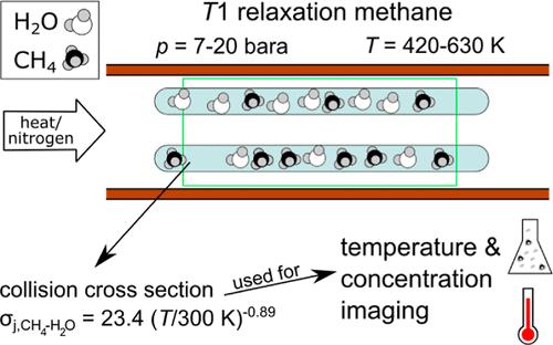 T1 Relaxation of Methane in Mixtures with Gaseous Water