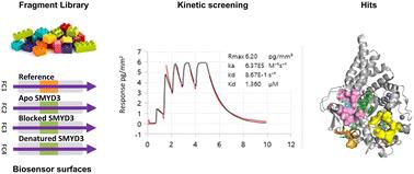 Identification of fragments targeting SMYD3 using highly sensitive kinetic and multiplexed biosensor-based screening†