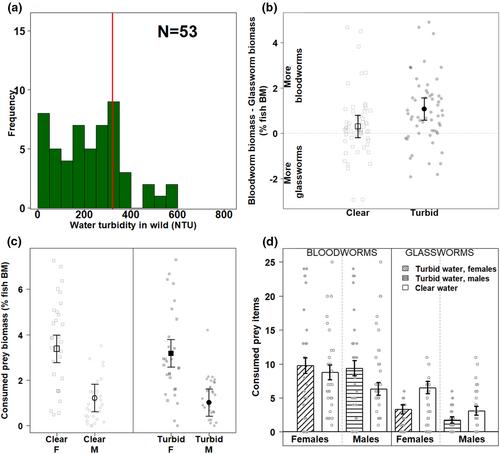 The effect of water turbidity on prey consumption and female feeding patterns in African turquoise killifish