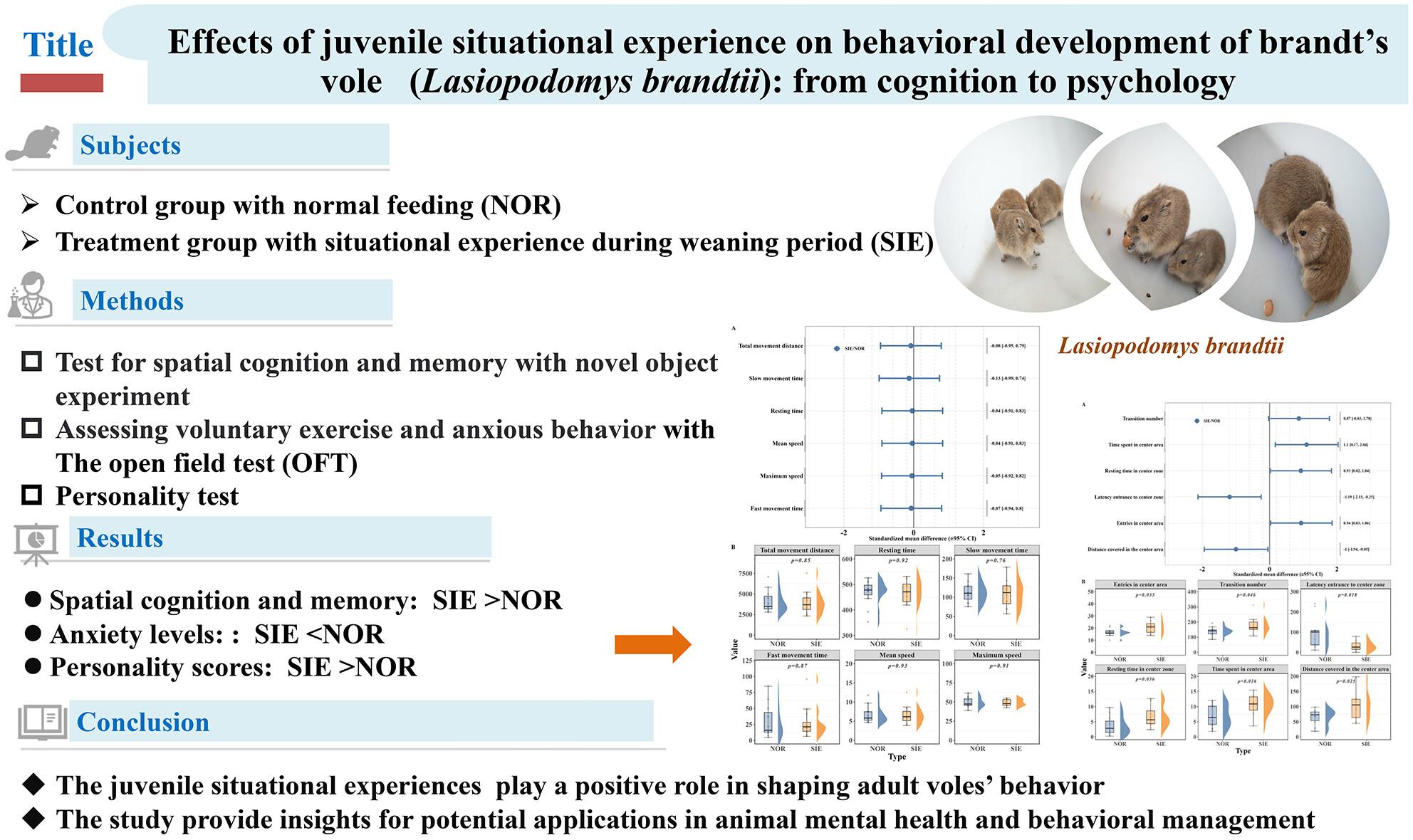 Effects of juvenile situational experience on behavioral development of Brandt's vole (Lasiopodomys brandtii): From cognition to psychology