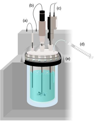 Raman spectroscopy and one-dimensional convolutional neural network modeling as a real-time monitoring tool for in vitro transaminase-catalyzed synthesis of a pharmaceutically relevant amine precursor