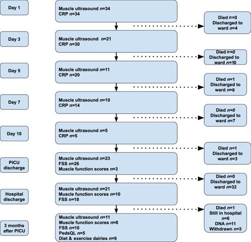 Association between protein intake and muscle wasting in critically ill children: A prospective cohort study