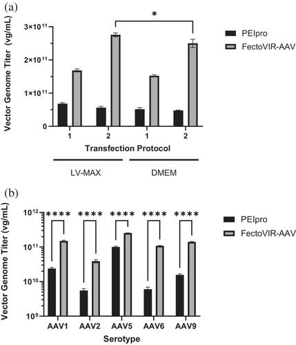 High-yield recombinant adeno-associated viral vector production by multivariate optimization of bioprocess and transfection conditions