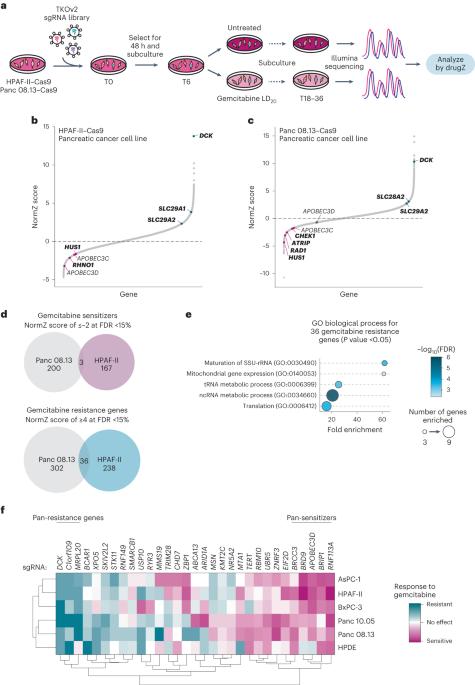 Cytidine deaminases APOBEC3C and APOBEC3D promote DNA replication stress resistance in pancreatic cancer cells