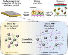 Composited silk fibroins ensured adhesion stability and magnetic controllability of Fe3O4-nanoparticle coating on implant for biofilm treatment†