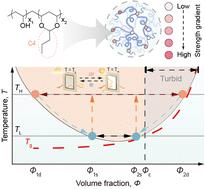 Engineering a polyvinyl butyral hydrogel as a thermochromic interlayer for energy-saving windows†