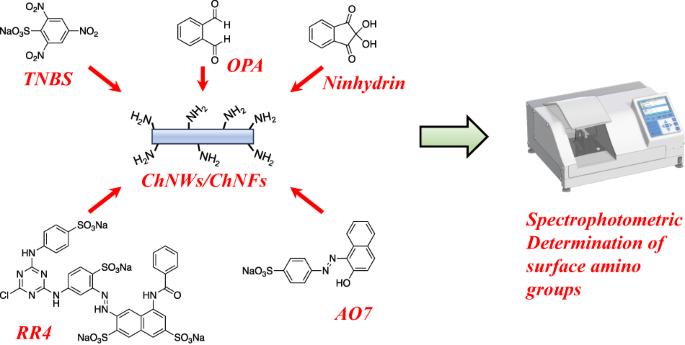 Rapid and facile quantification of surface amino groups on chitin nanowhiskers and nanofibers via spectrophotometry