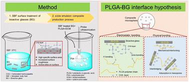 Surface modification of bioactive glasses for successful incorporation with poly(lactic-co-glycolic acid) (PLGA)†