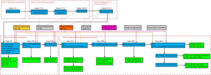 Detection of colinear blocks and synteny and evolutionary analyses based on utilization of MCScanX