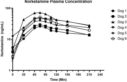 Pharmacokinetics of subcutaneous ketamine administration via the Omnipod® system in dogs