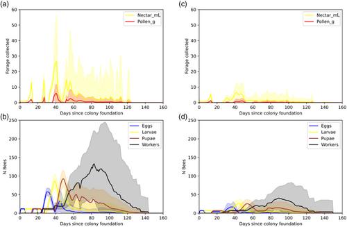 Resource gaps pose the greatest threat for bumblebees during the colony establishment phase