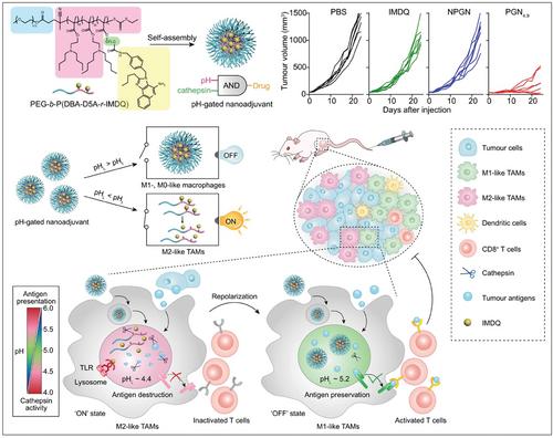 Beyond Nanoparticle-Based Intracellular Drug Delivery: Cytosol/Organelle-Targeted Drug Release and Therapeutic Synergism