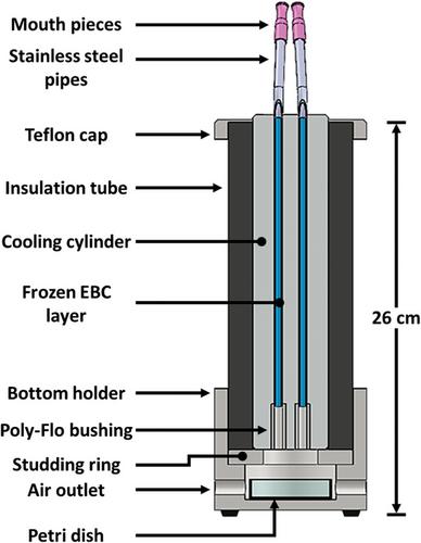 An Efficient Low-Cost Device for Sampling Exhaled Breath Condensate EBC