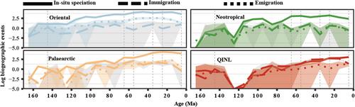 Phylogenetic origin of an insect fauna at the boundary of the Palaearctic and Oriental realms: Evidence from ‘site-based’ mitogenomics