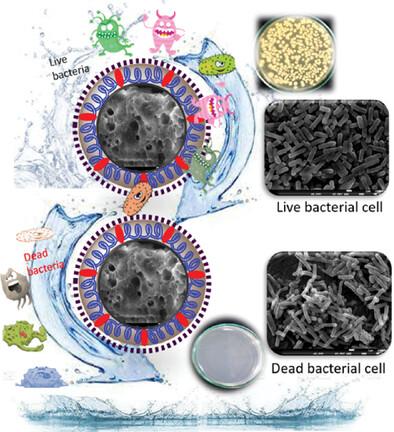 Design and Fabrication of Broad-Spectrum Antimicrobial Porous Metallo-Polymeric Microsphere for Water Disinfection